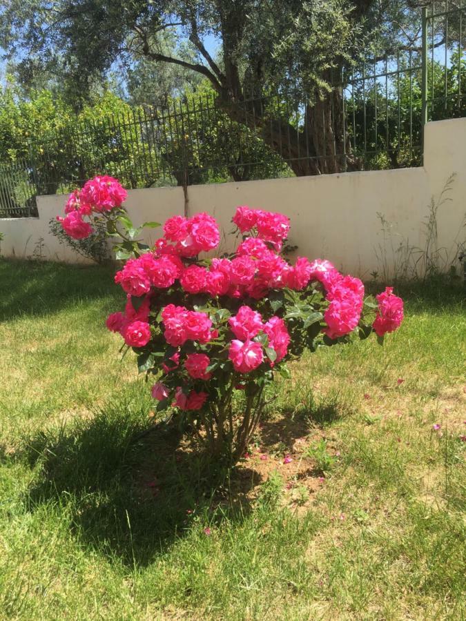 Lovely Appartments Lygia Korinthias Ligia  Exterior photo
